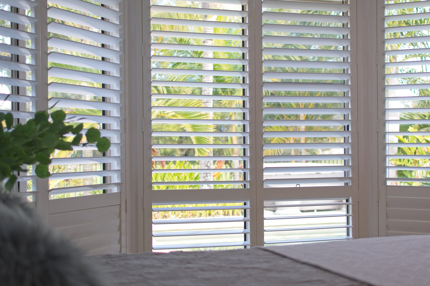 Plantation Shutter