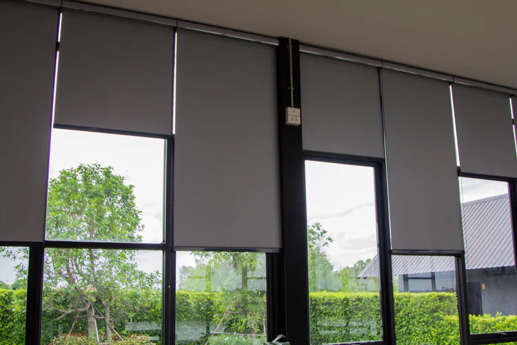 Screen Roller Blinds
