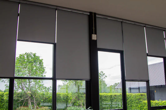 Screen Roller Blinds